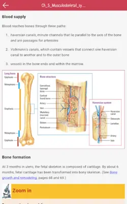 Anatomy & Physiology MIE NCLEX android App screenshot 9