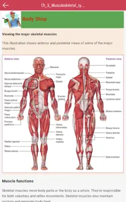 Anatomy & Physiology MIE NCLEX android App screenshot 10