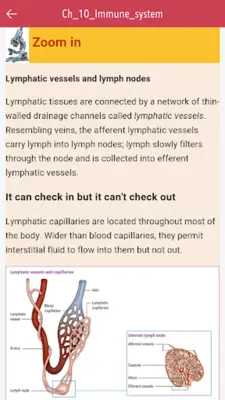 Anatomy & Physiology MIE NCLEX android App screenshot 18