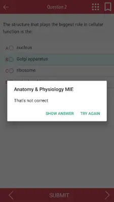 Anatomy & Physiology MIE NCLEX android App screenshot 19