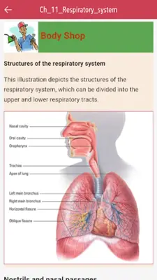 Anatomy & Physiology MIE NCLEX android App screenshot 20