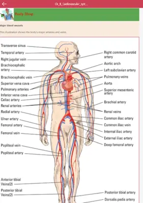 Anatomy & Physiology MIE NCLEX android App screenshot 2