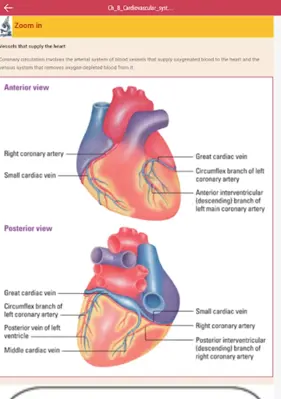 Anatomy & Physiology MIE NCLEX android App screenshot 4